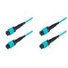 SpeedyFiberTX 2-Pack 200 Feet 8 Fiber Low Loss MPO Trunk Cable for 40G QSFP+ SR4/CSR4, 100G QSFP28 SR4, 200G QSFP56 SR4 Transceivers| Type-B Polarity| OM4 Fiber| 3.0mm Aqua Plenum OFNP Jacket view 1