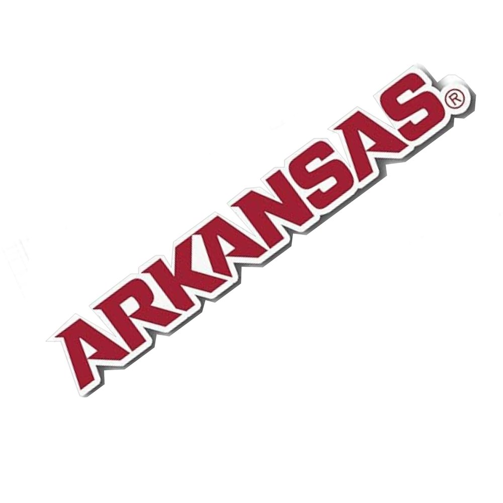 Desert Cactus University of Arkansas Sticker Razorbacks U of A Hogs Vinyl Decal Laptop Water Bottle Car Scrapbook (IND 11)