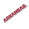 Desert Cactus University of Arkansas Sticker Razorbacks U of A Hogs Vinyl Decal Laptop Water Bottle Car Scrapbook (IND 11) view 1