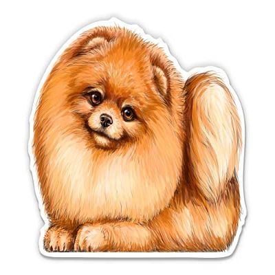 Cute Pomeranian - 8" Vinyl Sticker - for Car Laptop I-Pad - Waterproof Decal