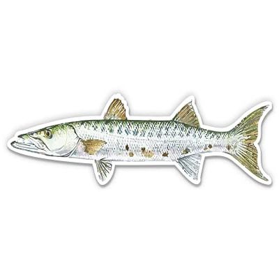 Barracuda Fishing - 5" Vinyl Sticker - for Car Laptop I-Pad - Waterproof Decal