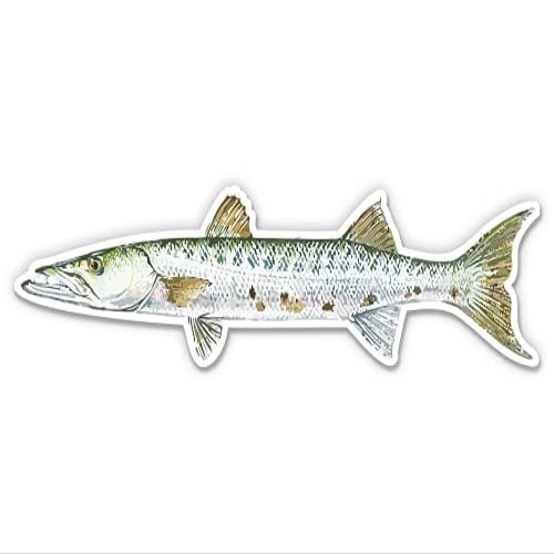 Barracuda Fishing - 5" Vinyl Sticker - for Car Laptop I-Pad - Waterproof Decal