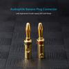 13AWG Premium Heavy Duty Braided Speaker Cable,Speaker Wire with Gold Plated Banana Plug Tips, Oxygen-Free Copper (OFC) (2M(6.6FT)) view 3