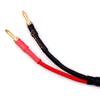 13AWG Premium Heavy Duty Braided Speaker Cable,Speaker Wire with Gold Plated Banana Plug Tips, Oxygen-Free Copper (OFC) (2M(6.6FT)) view 4