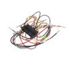 Blodgett Harness, Fem Con, 3P 83313 - Genuine OEM Replacement Part view 1