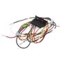 Blodgett Harness, Fem Con, 3P 83313 - Genuine OEM Replacement Part view 3