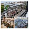 Transparent Outdoor Waterproof Tarpaulin, with Eyelets, Foldable PVC Tarp, Clear Tarpaulin for Covering Garden Plants Terrace Furniture, Awning, Rain Curtain,Transparent-12.5m/3.38.2ft view 4