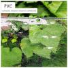 Sonakia Tarpaulin Clear Waterproof with Eyelets, Outdoor Weatherproof Plant Protection Cover, Foldable PVC Tarp, 0.5mm Tear-Resistant Tarpaulin, for Greenhouses, Gardens, Roofs,1.1x2.5m/3.6 * 8.2ft view 4