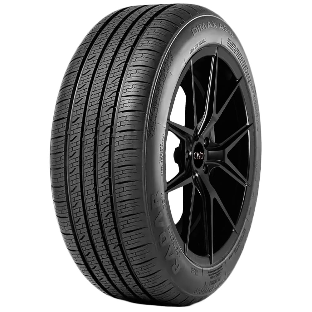 Radar Dimax AS-6 205/65R15 94H Tire