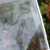 Clear Tarpaulin Waterproof Heavy Duty, Transparent PVC Tarpaulin, Rainproof Tarp Cover for Garden Greenhouse Plants, Various Sizes, 1m 1.5m 2m 2.5m 3m 3.5m 4m 4.5m 5m,Transparent-1.62m/5.26.6ft view 2