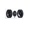 KIN By Totem Flex Compact Monitor Speaker (Satin White) view 3