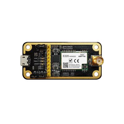 433MHz 470MHz Lora Test Board Development Evaluation Kit for E220-400M22S USB Interface with Antenna