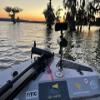 Basin Boat Lighting - BrightBird BASIC 2-PIN 120W/12,000 Lumens SmartBird Safety Lighting System, USB Port, Key Fob remote and NEW NEW iOS/Android app (not included) NEW SOS function! view 3