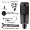 Avalanche Daddy USB Microphone Condenser D80 Recording Microphone with Stand and Ring Light for PC Karaoke Streaming Podcasting view 2