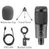 Avalanche Daddy USB Microphone Condenser D80 Recording Microphone with Stand and Ring Light for PC Karaoke Streaming Podcasting view 3