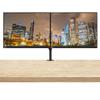 Lenovo ThinkVision S24e-20 23.8" Full HD 1920 x 1080 WLED LCD Monitor 2-Pack, 250 Nit, FreeSync, HDMI-VGA, Raven Black Bundle with Adjustable Desk Mount Monitor Stand view 1