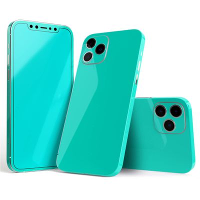 DesignSkinz - Compatible with Apple iPhone SE (2020) - Protective Vinyl Decal Wrap Skin Cover (Screen Trim & Back Glass Skin) - Solid Mint V2