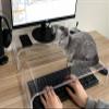 ZEAYIFA Clear Acrylic Monitor Stand,Keyboard Cover Protector Anti-Cat Prevent Cats from Touching Keyboard,Stand for Laptop, 1525-001 view 2