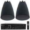 Rockville RCS80-1 Bundle: 60-Watt 70V Commercial Amplifier/Bluetooth Receiver, (2) PEN-525T Black 5.25" 70V Hanging Pendant Speakers, 3-Items view 1