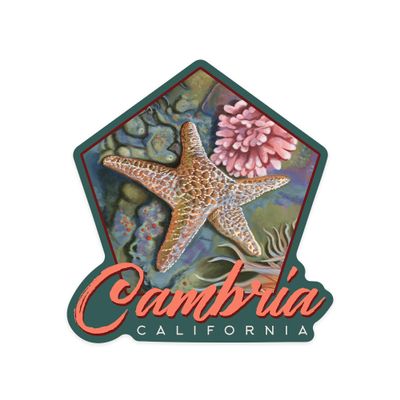 Lantern Press Sticker Cambria, California, Tidepool, Die Cut Vinyl, (Waterproof Decal for Cars, Water Bottles, Laptops, Coolers), Small