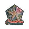 Lantern Press Sticker Cambria, California, Tidepool, Die Cut Vinyl, (Waterproof Decal for Cars, Water Bottles, Laptops, Coolers), Small view 1