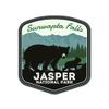 Die Cut Sticker Jasper National Park, Canada, Sunwapta Falls, Black Bear and Cub, Vinyl Sticker, (Waterproof Decal for Cars, Water Bottles, Laptops, Coolers), Large view 1