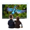 AIZYR High Transparency TV Screen Protector, Matte Anti Glare/Anti Blue Light Filter Film Relieve Eye Strain for LCD, LED, 4K OLED & QLED HDTV,65 in 1440 X 809mm