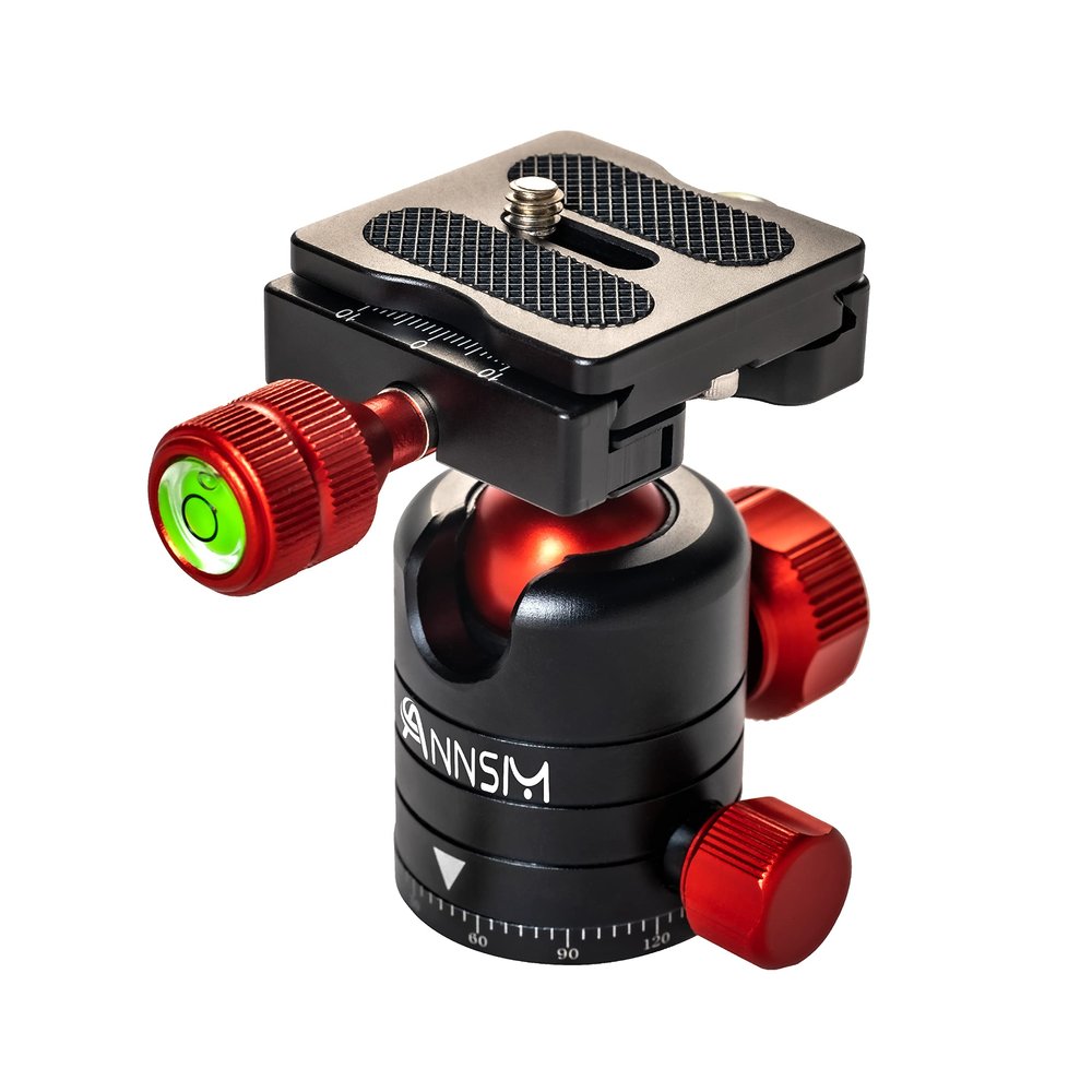ANNSM Professional Tripod Ball Head 24mm 360 Degree Swivel Panoramic Head with 38mm Width Quick Release Plate for DSLR Camera Slider Stabilizer Monopod