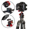 ANNSM Professional Tripod Ball Head 24mm 360 Degree Swivel Panoramic Head with 38mm Width Quick Release Plate for DSLR Camera Slider Stabilizer Monopod view 4