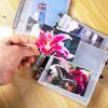 Ancicraft Photo Album Sleeves for 2x3 Pictures 100 Photos Sheet 2 Pack (Refills Pages for 2x3Inch) view 4