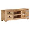 vidaXL Retro Style TV Stand in Rough Mango Wood with Natural Finish, Multi-Storage Cabinet with 2 Drawers and 2 Compartments for Entertainment Room view 1