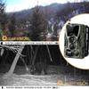 MWEIMA 4K 30MP 4G-LET Trail Camera, 0.3S Motion Activated 120 Detection, 2 LCD Screen, 4K 30FPS Real-Time Video, Max 256GB SD Card, Dual-Lens Wildlife Camera view 4