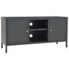 vidaXL Modern Steel TV Stand with Glass Doors, Adjustable Shelf, Durable Anthracite Powder-Coated Construction, 41.3"x13.8"x20.5" view 1