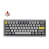 Keychron Q4 Wired Custom Mechanical Keyboard, 60% Layout QMK/VIA Programmable Macro with Hot-swappable Gateron G Pro Red Switch Double Gasket Compatible with Mac Windows Linux (Gray) view 1