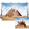 7x5FT Pyramid Backdrop Africa Desert Ancient Civilization Country Egypt Pyramid Photography Backdrop The Great Sphinx Backdrop for Nature Scenic Desert Travel Tour Photo Shooting Props Wallpaper view 1