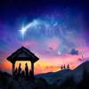 BELECO Fabric 8x6ft Birth of Jesus Backdrop Manger Nativity Scene Backdrop Jesus Holy Night Nativity Photo Background Kids Bithday Baby Shower Banner Religion Christian Party Decor Photo Studio Props view 1