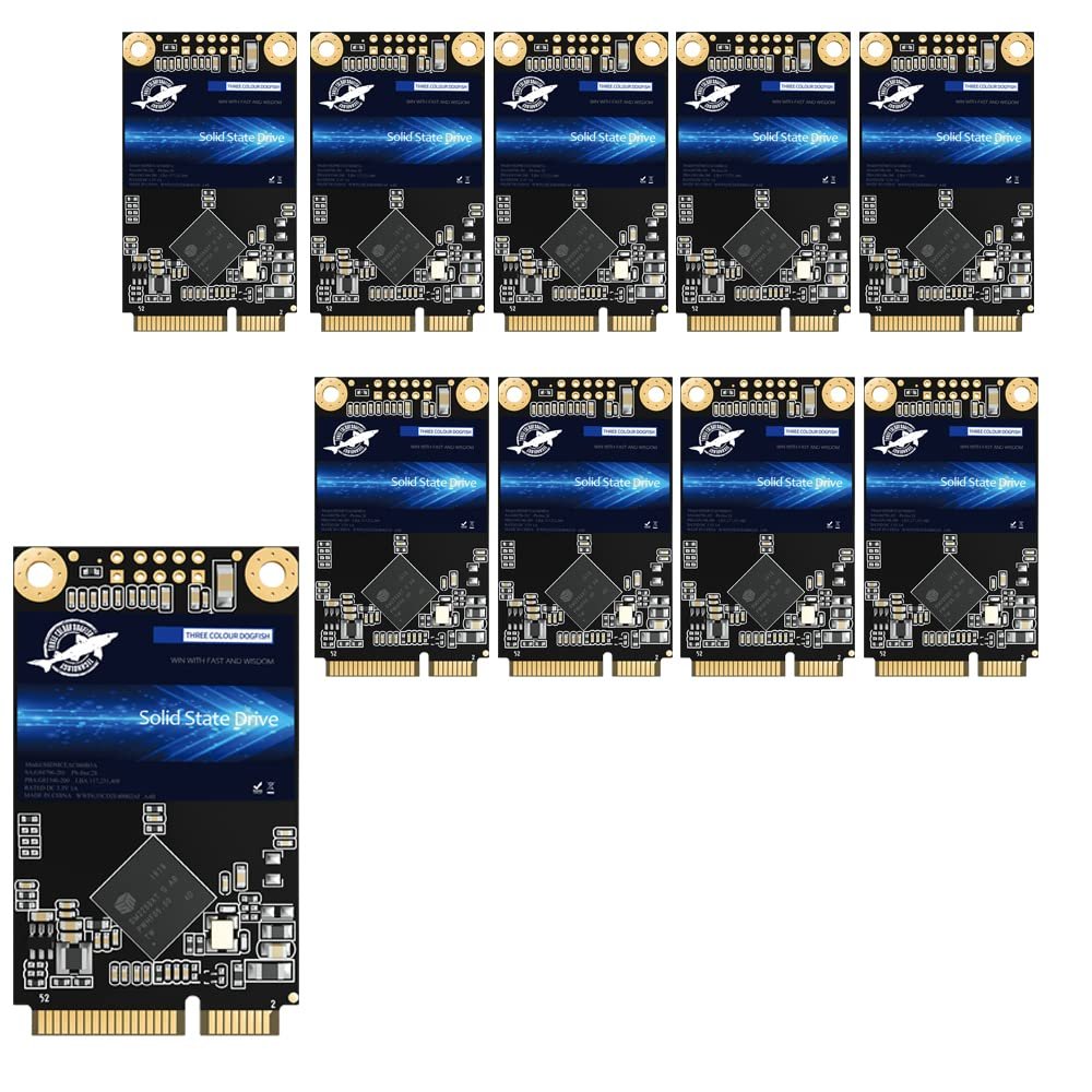 SSD MSATA 64GB Dogfish High Performance Internal Solid State Drive for Desktop Laptop 10 Unit Package Pack [64GB(10 Packs),MSATA]