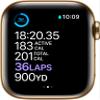 Apple Watch Series 6 (GPS + Cellular, 40mm) Gold Stainless Steel Case with Deep Navy Sport Band (Renewed) view 4