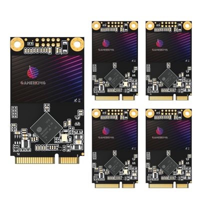 GAMERKING SSD MSATA 64GB High Performance Internal Solid State Drive for Desktop Laptop 5 Unit Package Pack [64GB(5 Packs),MSATA]