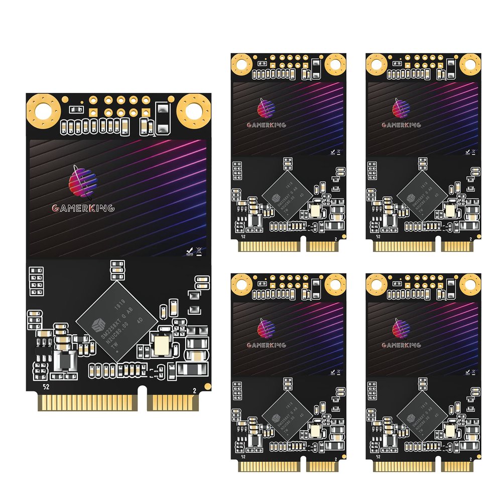 GAMERKING SSD MSATA 64GB High Performance Internal Solid State Drive for Desktop Laptop 5 Unit Package Pack [64GB(5 Packs),MSATA]
