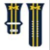 AFFINITY BANDS Michigan Wolverines HD Combo Package Compatible with Apple Watch and AirPods Gen 1 & 2 (38/40/41mm (42mm Series 11) Short Stripes) view 3