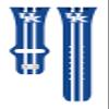 Affinity Bands Kentucky Wildcats HD Combo Package Compatible with Apple Watch and AirPods Gen 1 & 2 (38/40/41mm (42mm Series 11) Short Stripes) view 4