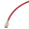 Blue Jeans Cable 3G/6G SDI Cable, RG6 (18AWG) Sized, with Canare BNCs (75 Foot, Red) view 1