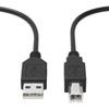 SupplySource 6ft Ethernet Connecting Cable Cord Replacement for Biometric Fingerprint Attendance Time Clock Nice C500T C600U view 1