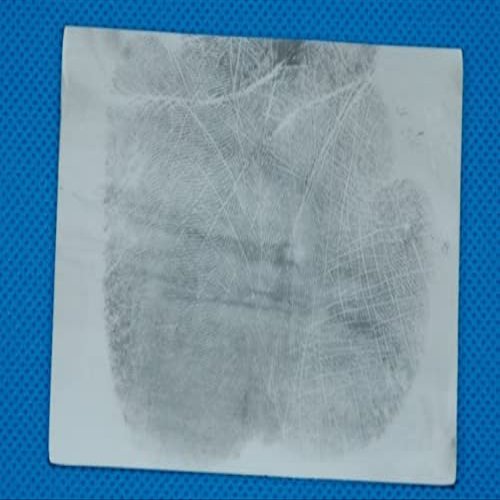 CSI Fingerprint/Palmprint Gel Lifters, Picking Up Latent Fingerprint Impressions, Crime Scene Forensic Supply, 5 pcs/Pack (White Palmprint 140x120mm)