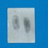 CSI Fingerprint/Palmprint Gel Lifters, Picking Up Latent Fingerprint Impressions, Crime Scene Forensic Supply, 5 pcs/Pack (White Fingerprint 5151mm) view 2