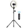 12" LED Ring Light 24W Selfie Fill Light with Floor Tripod Stand, Remote Control, Adjustable Height, Smooth Dimming, for Live Streaming, Portrait Photography, Vlog, Zoom Meeting view 1
