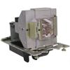 Dekain for Digital Projection Titan 1080p Quad 3D / Titan sx+ Quad 3D / Titan WUXGA Quad 3D Projector Lamp (Original Philips Bulb Inside) view 1