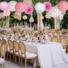 Donut Birthday Party Decorations, 9 Pieces Reusable Pink Round Donut Party Hanging Paper Lanterns, Supplies, Honeycomb Ball Paper Fan for Baby Shower Kids Birthday Home Decor view 4