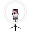 12'' LED Ring Light with Pan/Tilt/Zoom Tripod Stand & Phone Holder, Selfie Desktop LED Circle Light with 3 Color Dimmable 10 Brightness Level Lighting for Live Stream, Makeup, Photography view 1
